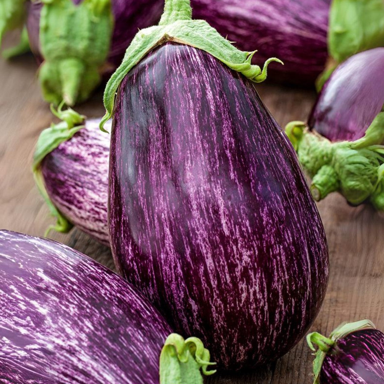 Hortus Brinjal Viola Tsakoniki 2gm