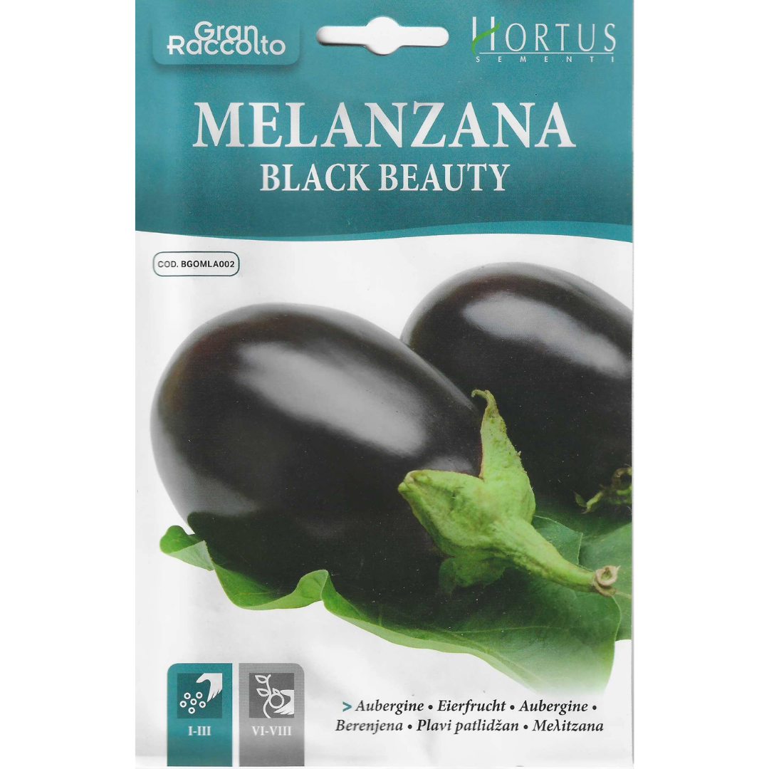 Hortus Brinjal Black Beauty (7 gram)