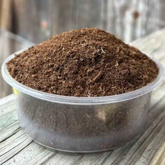 Peat Moss 1 Liter (Approx 600gm)