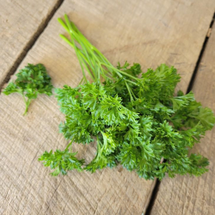 Curly Parsley (1gm Seeds)