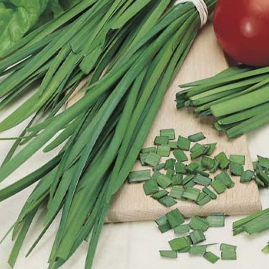 Garlic Chives 400+ Seeds (0.5gm)