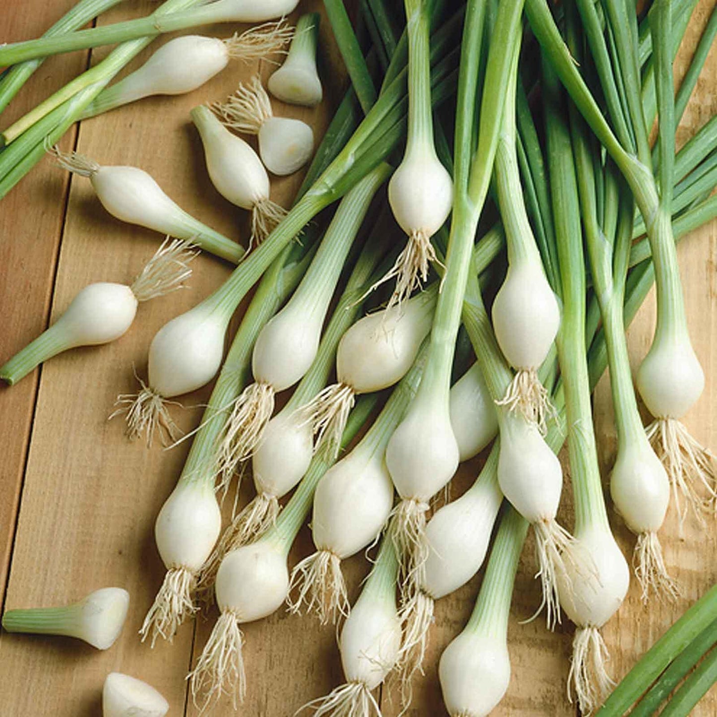 Lisbon Onion 200+ Seeds (0.5gm)