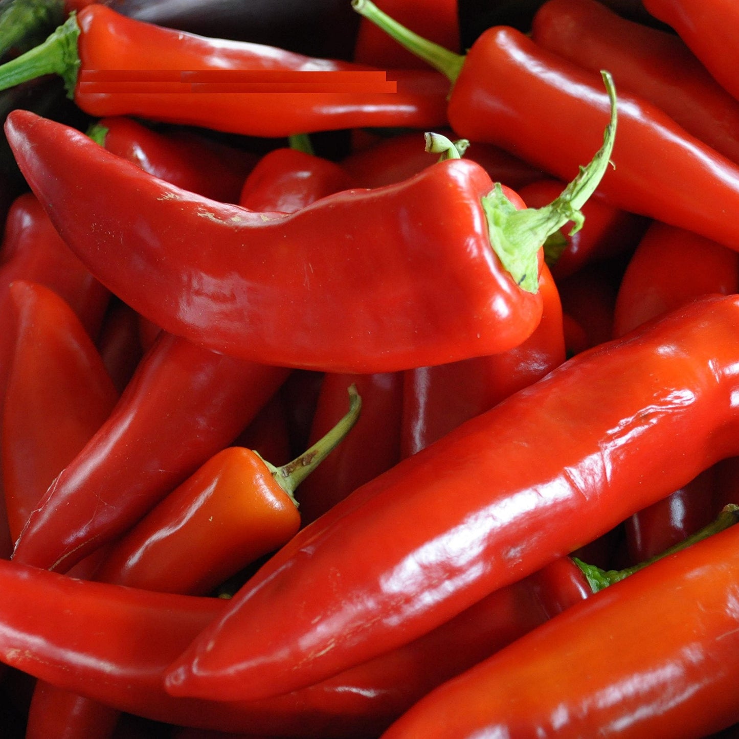 Red Banana Peppers 0.5gm Seeds (0120)