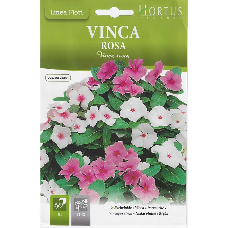 Hortus Vinca Rosa 200 Seeds