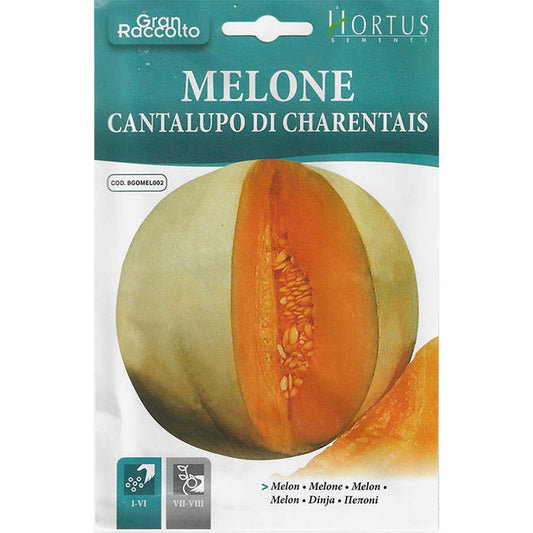 Hortus Super Sweet Melon 250+ Seeds