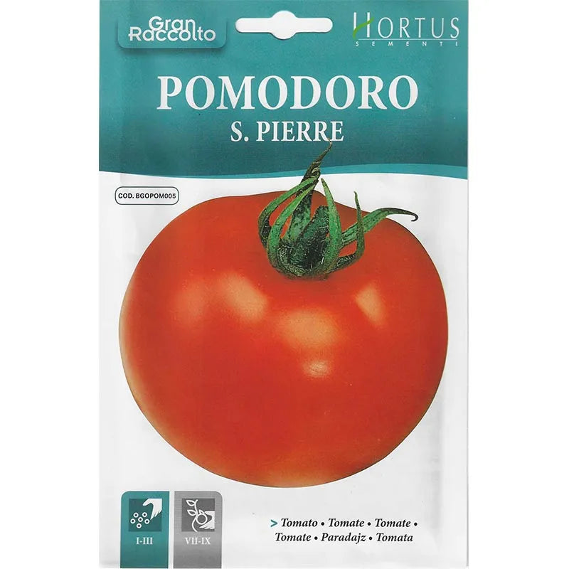 Hortus Pomodoro S. Pierre Tomatoes