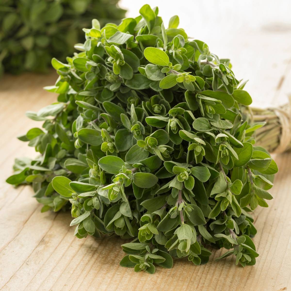 Sweet Marjoram 1000+ Seeds (0.5gm)