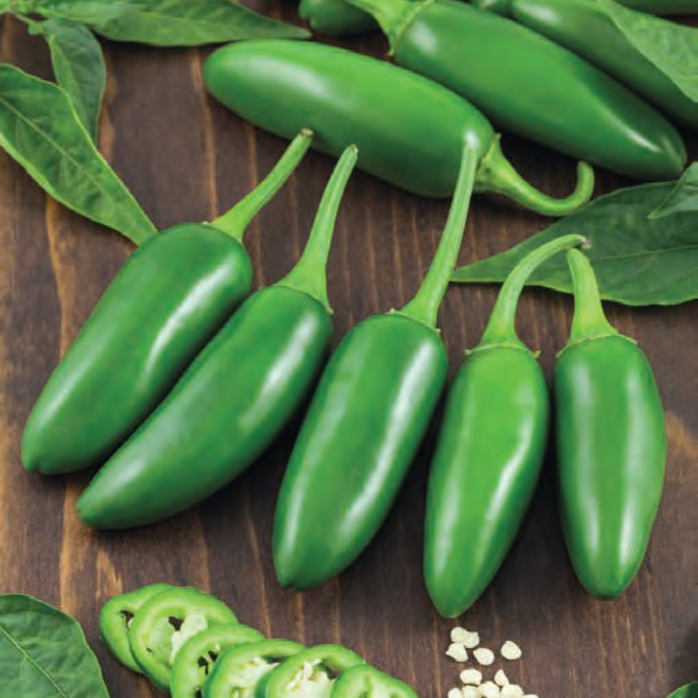Green Jalapeno 150+ Seeds (1gm)