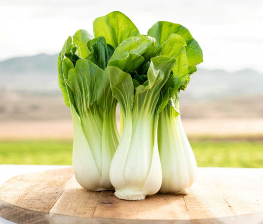 Pak Choi 500+ Seeds (1gm)