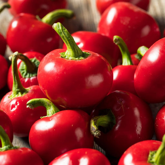 Pimiento Pepper 150+ Seeds (1gm)