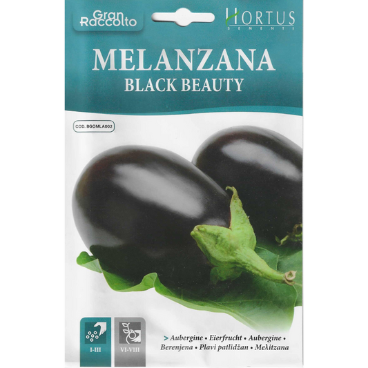 Hortus Brinjal Black Beauty (7 gram)