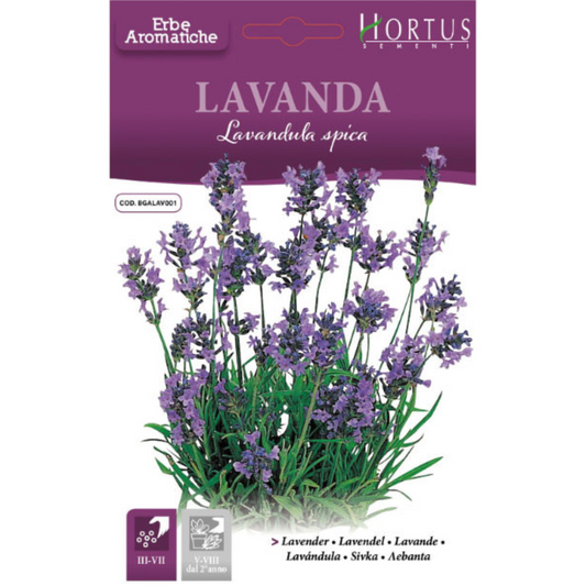 Hortus Lavanda (Lavender) 0.30 grams