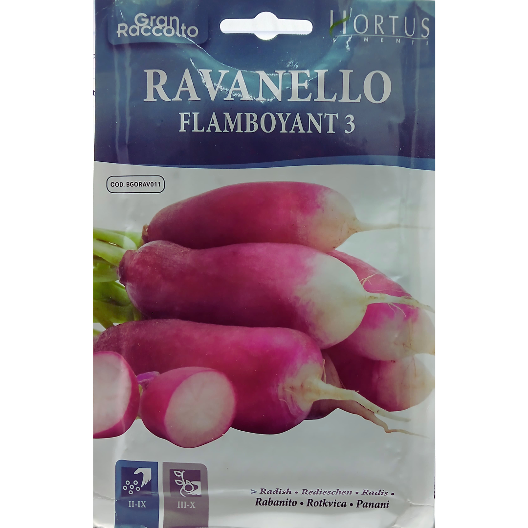 Hortus Red & White Radish (Ravanlello Flamboyant 3) 30gm