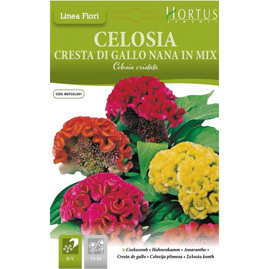 Hortus Celosia Cristata Dwarf Mix 1000+ Seeds