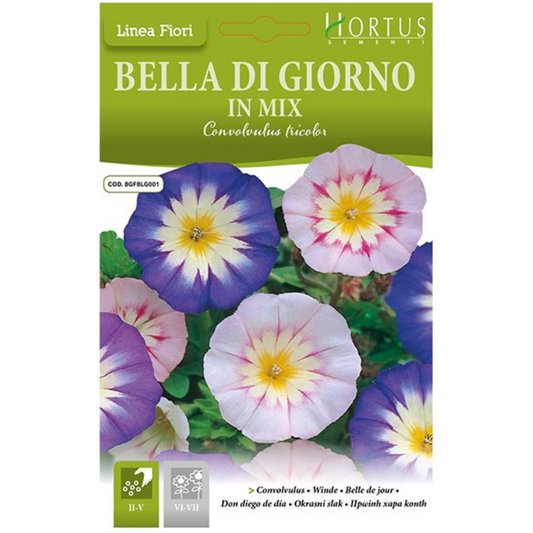 Hortus Convolvulus (Morning Glory) 1gm Seeds