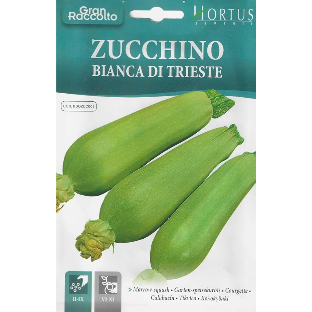 Hortus Marrow Squash 100+ Seeds