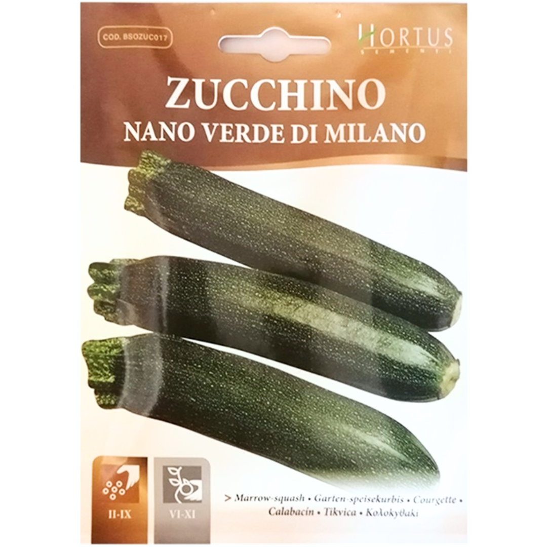 Hortus Green Squash 100+ Seeds
