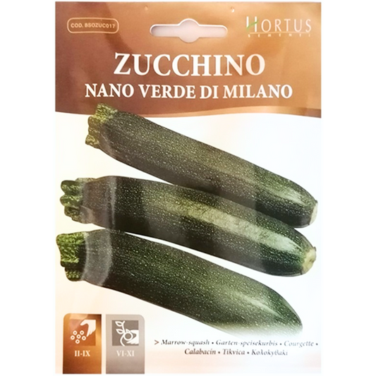 Hortus Green Squash 100+ Seeds