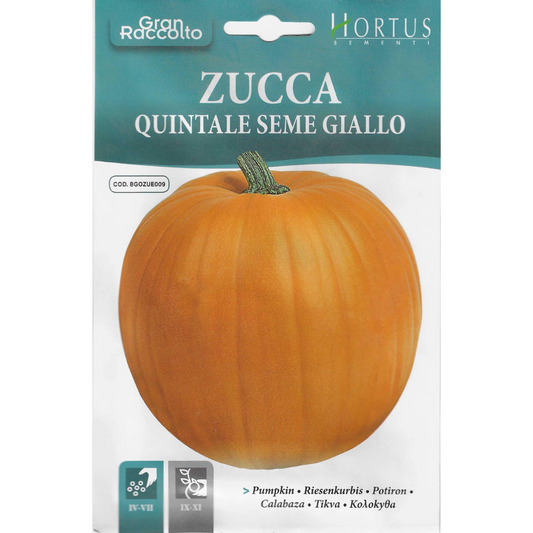 Hortus Orange Pumpkin 8gm Seeds