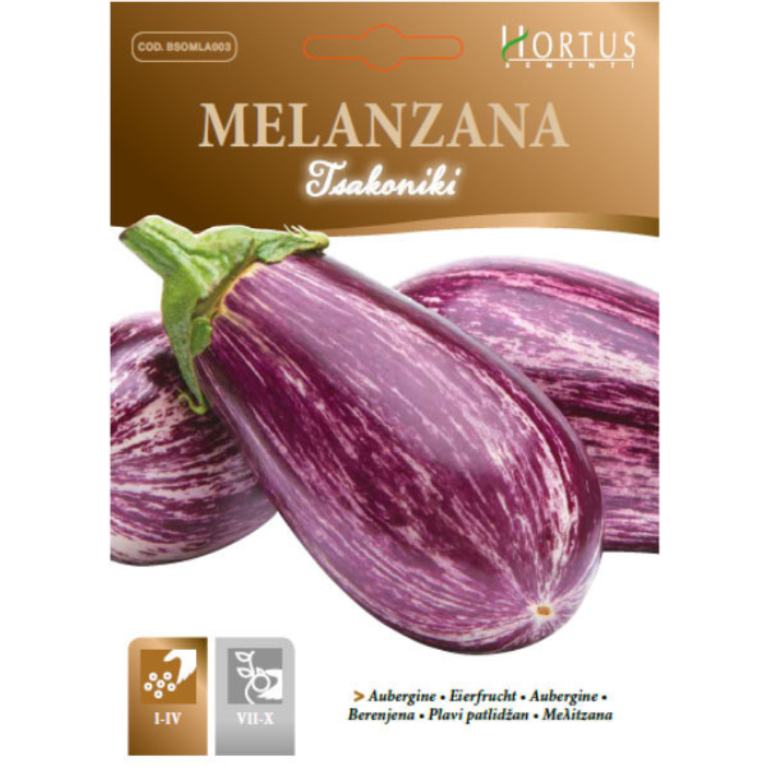 Hortus Brinjal Viola Tsakoniki 2gm