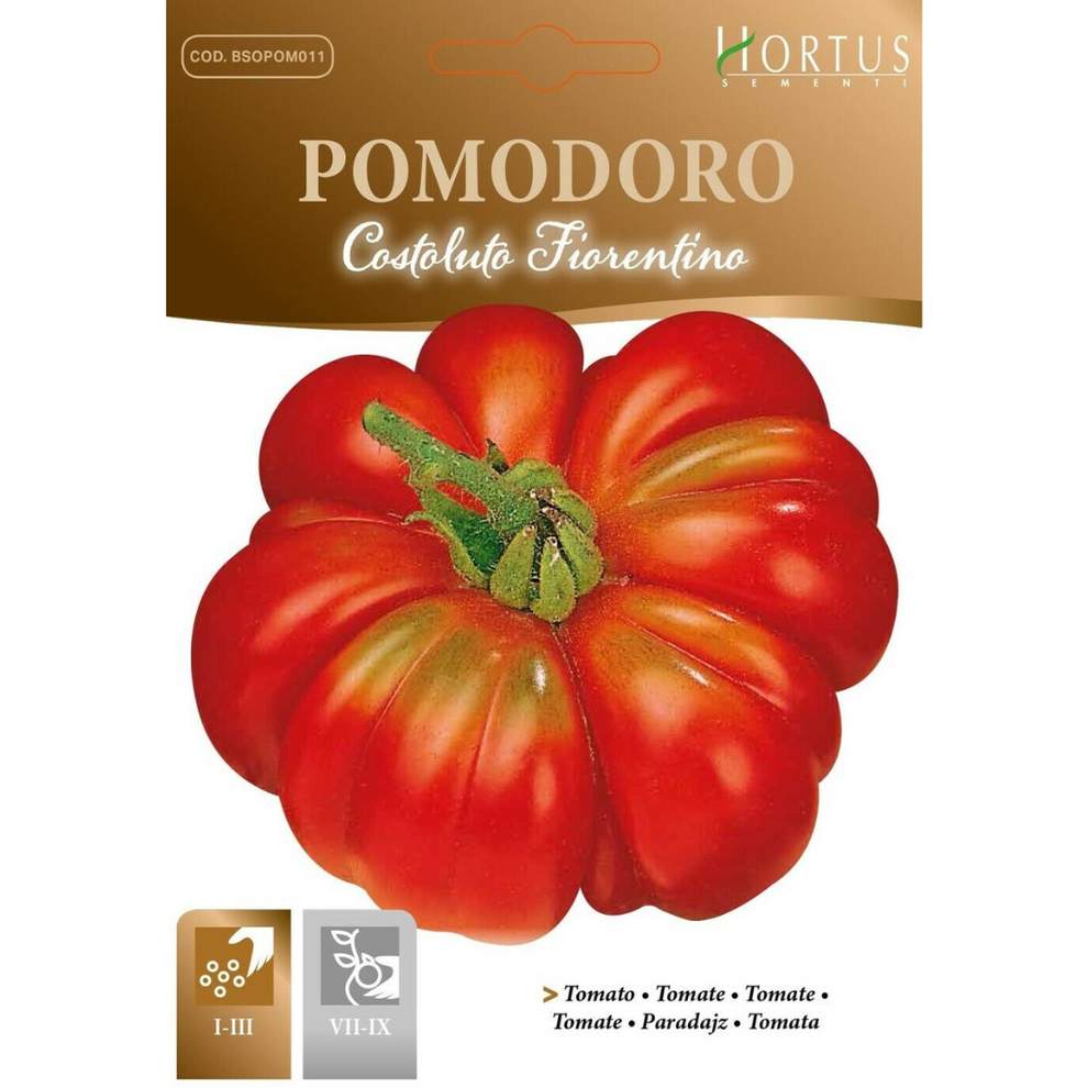 hortus-pomodoro-costoluto-tomatoes-1gm-vitaro-genetics