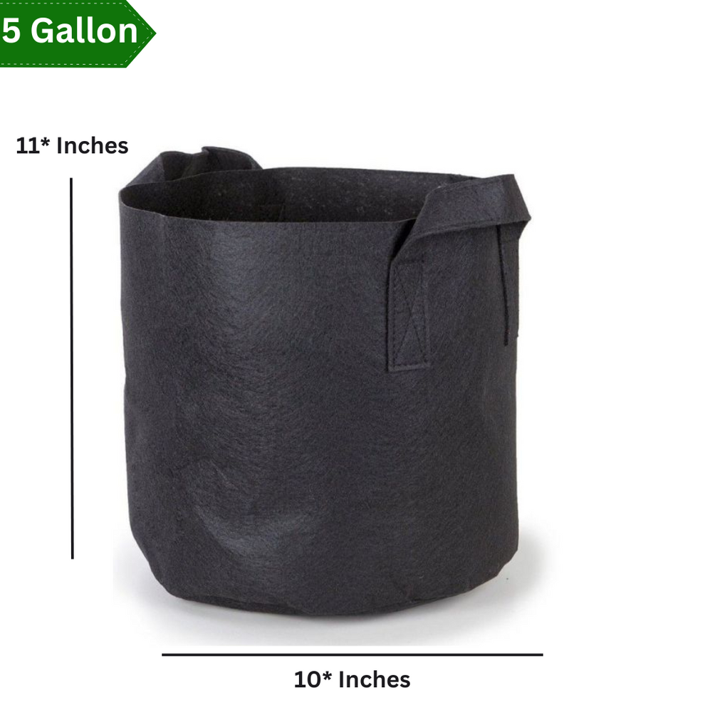 Grow Bag – 11 × 10 Inches (5 gallons)