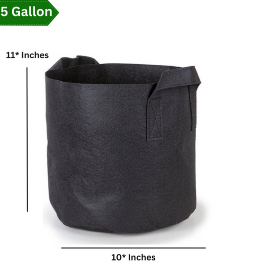 Grow Bag – 11 × 10 Inches (5 gallons)
