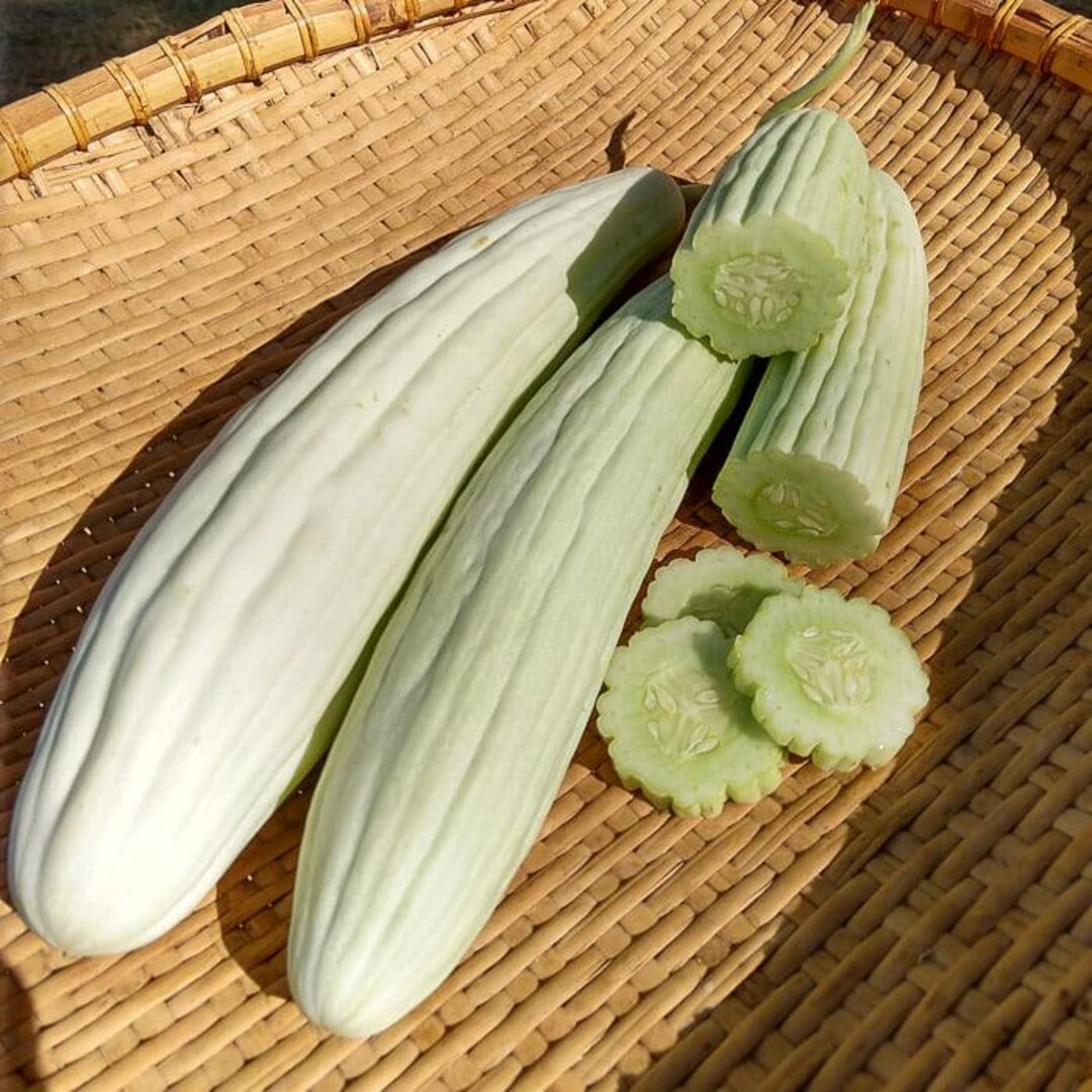 Pepeno Cucumber 1gm Seeds (0135)