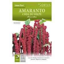 Hortus Love-Lies Bleeding 1000+ Seeds