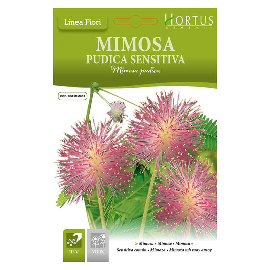 Hortus Touch me not 50+ seeds