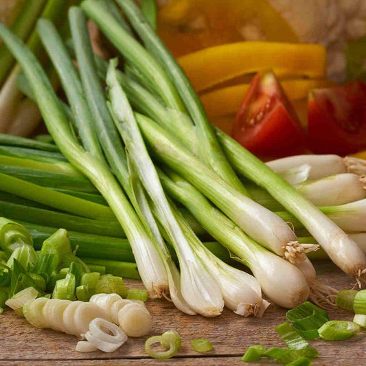 Lisbon Onion 200+ Seeds (0.5gm)