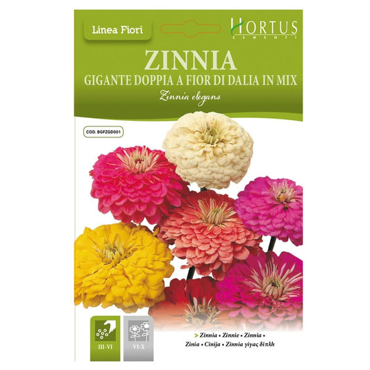 Hortus Zinnia Dahlia Mix 100+ Seeds