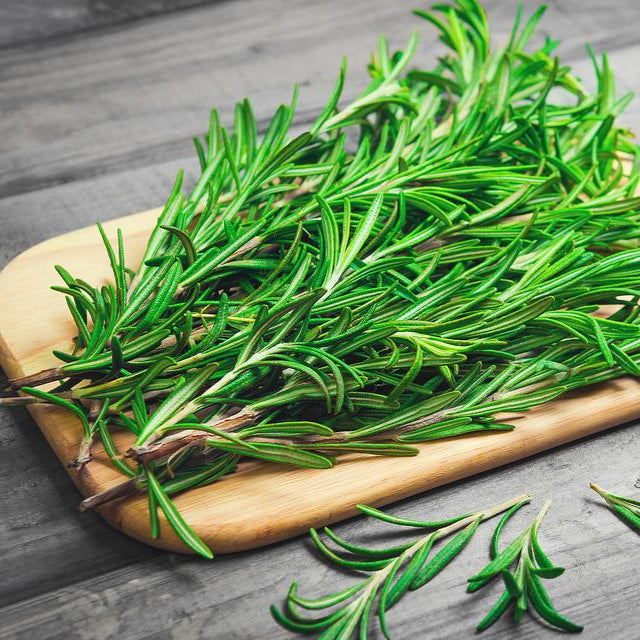 Rosemary 65+ Seeds